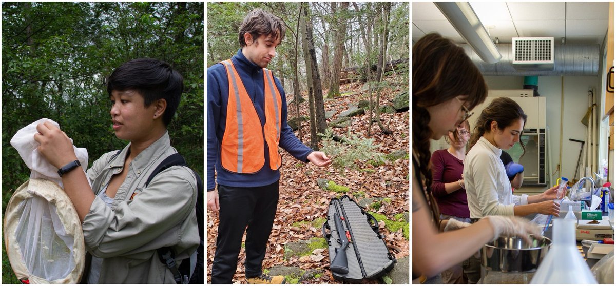 Please share! #Funding opp! We offer $6000 grants to do #research with #conservation application at <a href="/BRFConsortium/">Black Rock Forest</a>. Send us your proposals: blackrockforest.org/david-redden-c… Deadline: January 29.