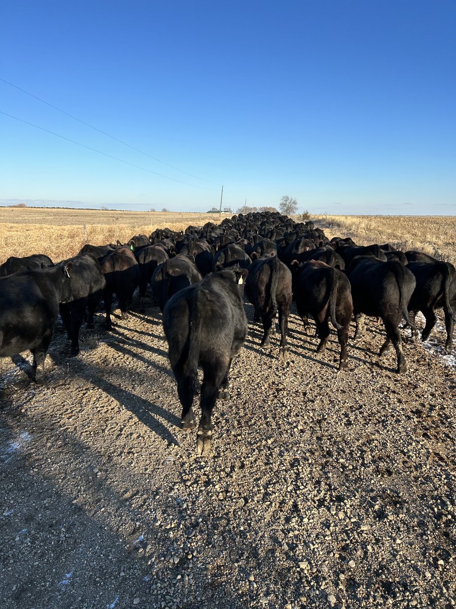 Colby Olson (@ordrover) on Twitter photo 