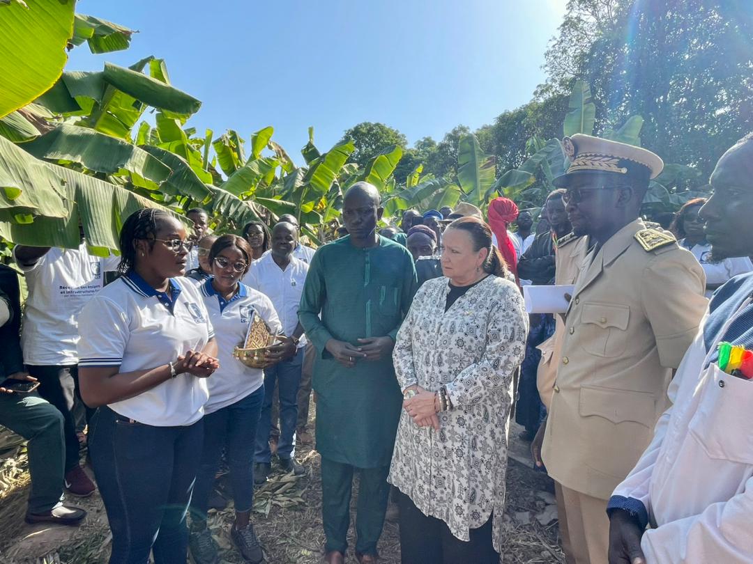 ✅Garantir l’autonomisation des femmes demeure plus que jamais vital.   
Amb. @Mounier_mg et le Gouverneur de Sédhiou ont participé à une cérémonie de réception d’équipements agricoles financés par <a href="/DevCanada/">Développement Canada</a> au profit de groupements féminins. <a href="/SOCODEVI/">SOCODEVI</a> <a href="/CECI_CANADA/">CECI</a>