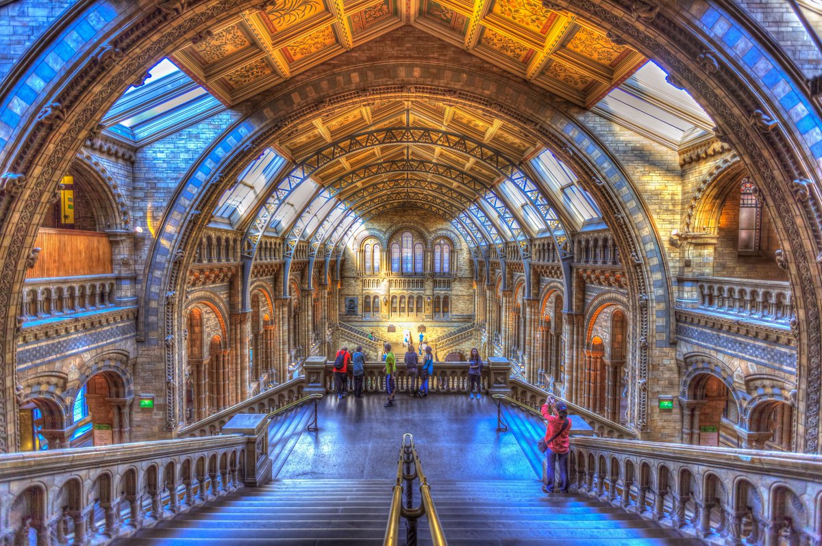 Come and work @NHM_London with me on disease ecology and global change topics. **FIVE** positions available: 2 post-doctoral (2.5yrs) 3 pre-doctoral level (2 yrs). Pls retweet and spread widely, closing 18th Dec @NHM_Science @UCLCBER @Timcdlucas nhm.ac.uk/about-us/caree…