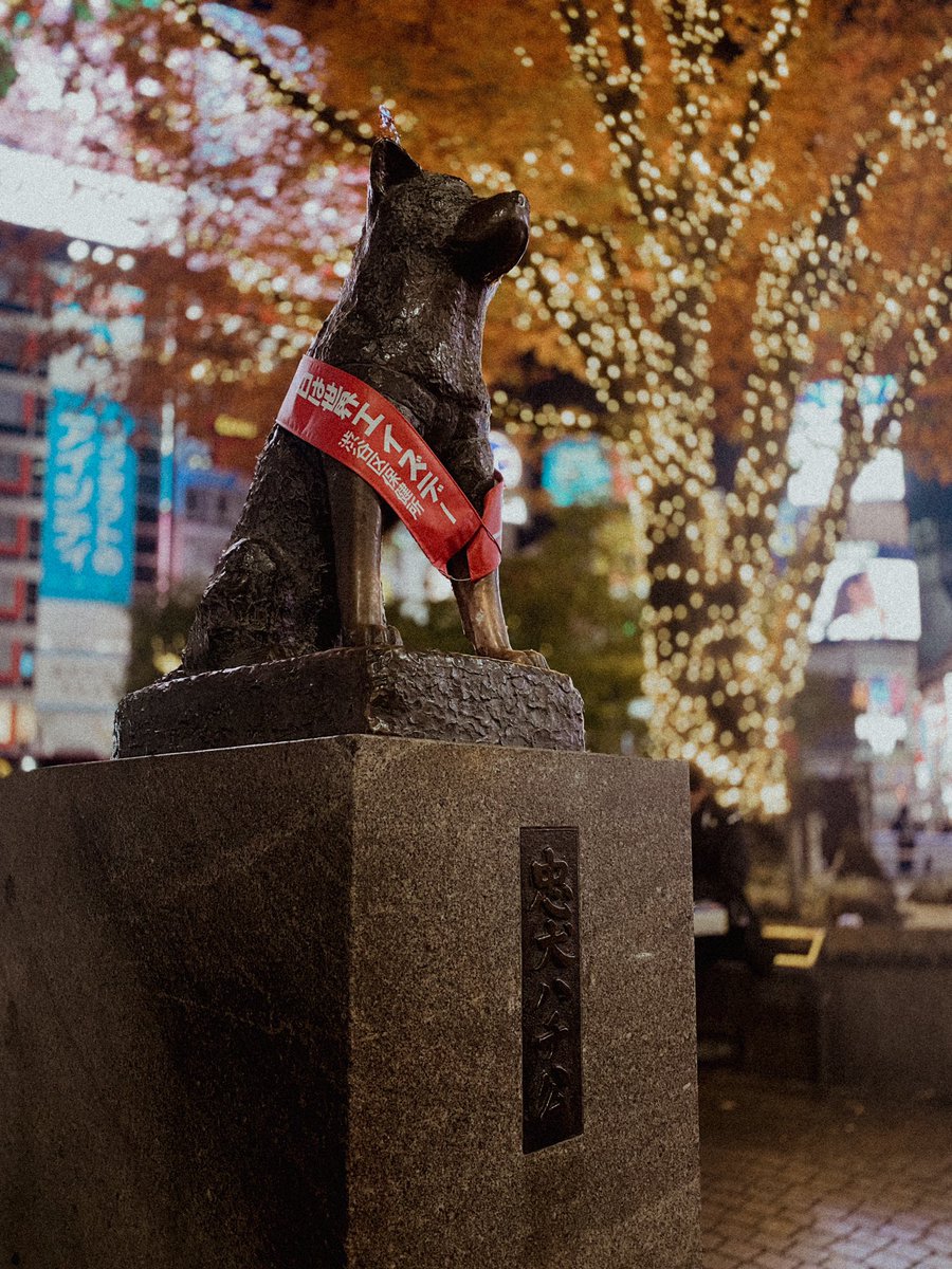 ScapTheo's tweet photo. Tokyo vibes 🥷🏼 https://t.co/24kIU9BWly