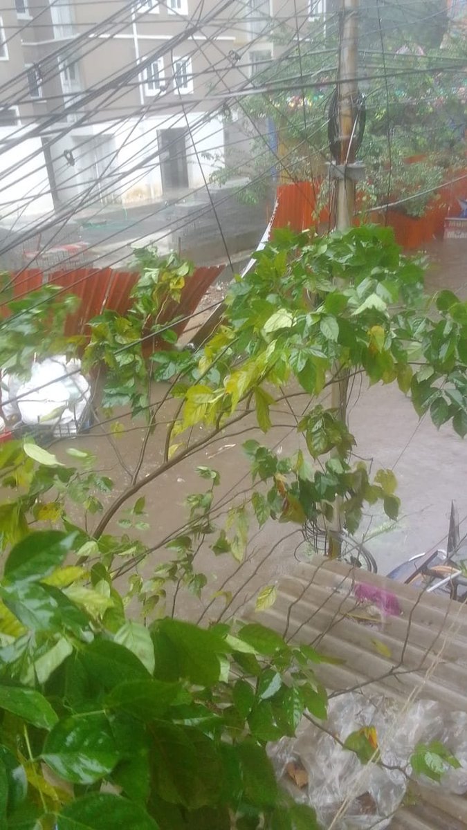 sw4thy's tweet photo. @adithyan_vd @chennaicorp Unable to reach my parents residing in mandaveli, valeeswarar garden. Last communication at 3PM, these are the photos they sent, no electricity, cellphone network, knee length water. 

Please help @chennaicorp @chennaipolice_ just need to know they are safe. pls RT for reach TIA https://t.co/2za3Jwerlv