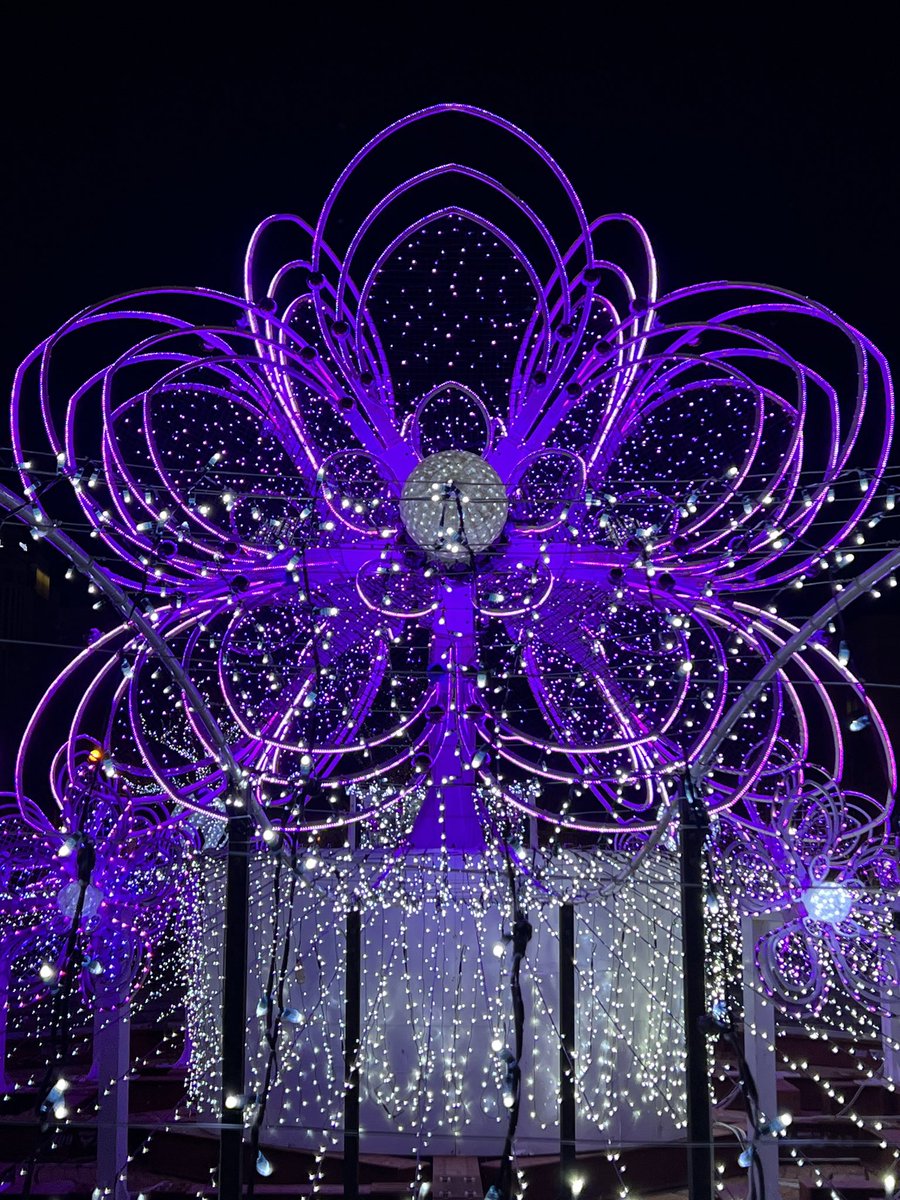 BLANC7_SPAX's tweet photo. 綺麗イルミネーション ! !
自撮り下手でごめんね☺️ https://t.co/pz9fMD60zX