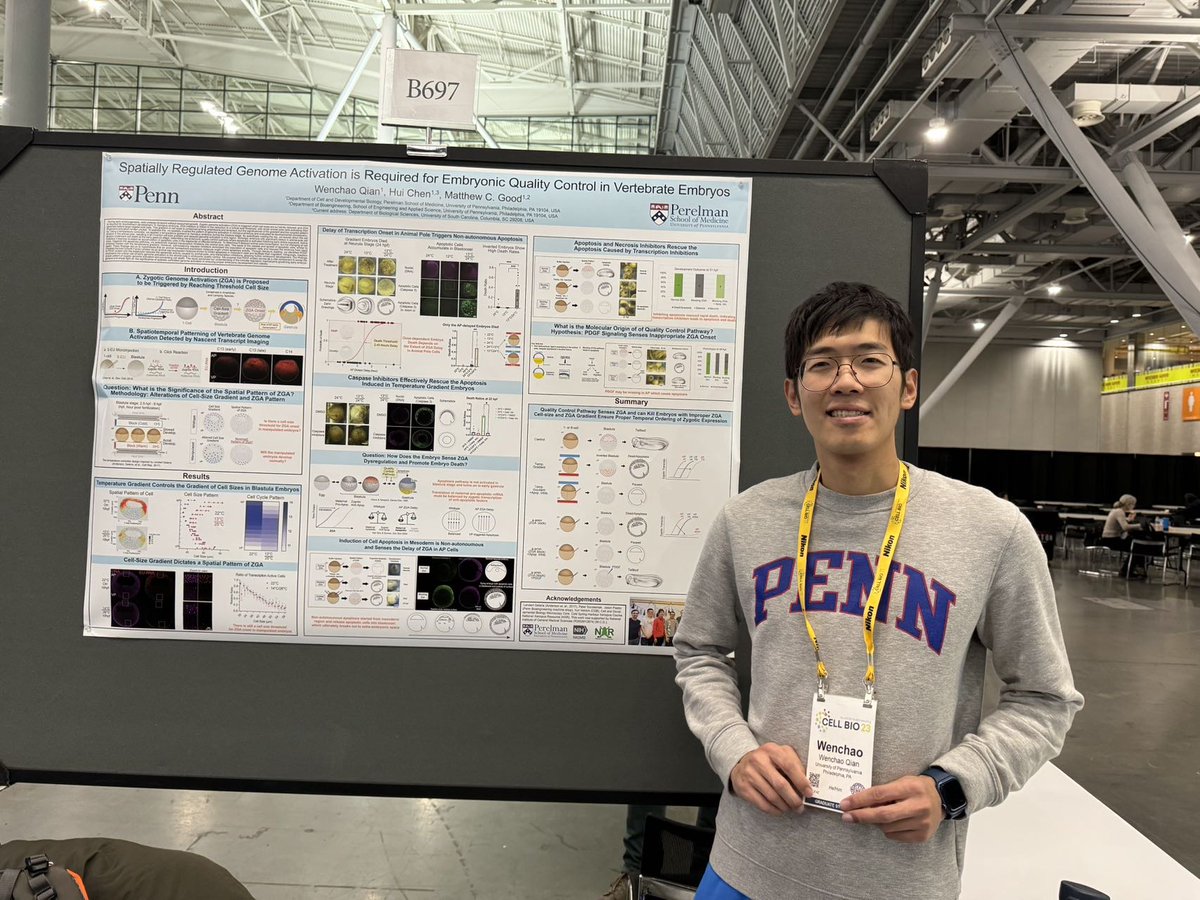 Proud to present my poster yesterday at #cellbio2023. Thanks all the friends for dropping by!