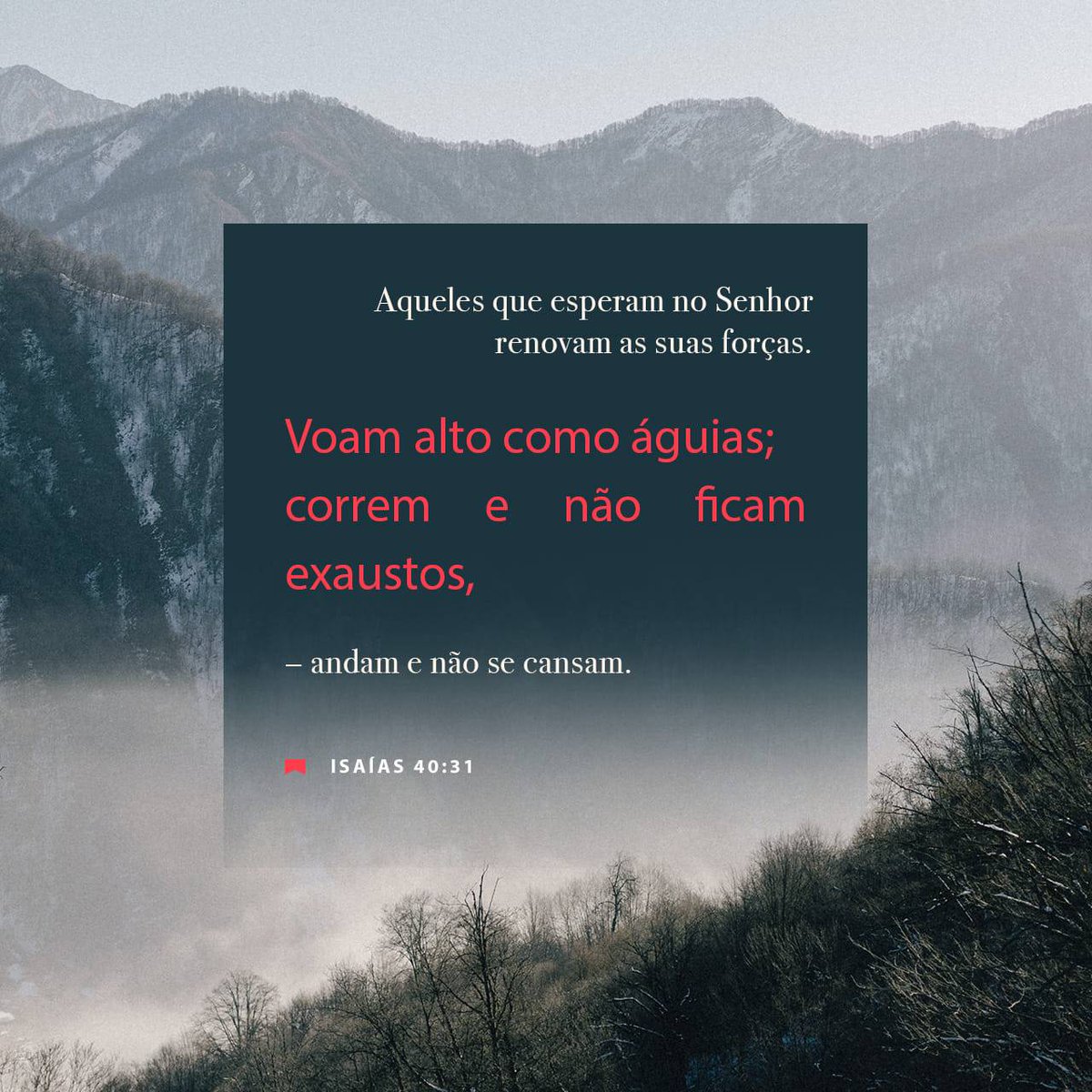 bible.com/verse-of-the-d…
<a href="/Claudiozaidan11/">Claudio Zaidan</a>