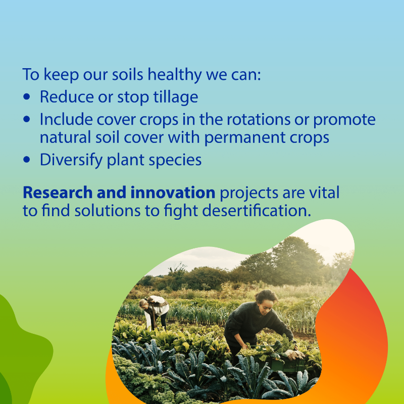 EU_Commission's tweet photo. Soil is home to 1/4 of the species on the planet. 

But unsustainable management and climate change are compromising it.

On #WorldSoilDay, we remark the importance of protecting, preserving and restoring our soils ↓