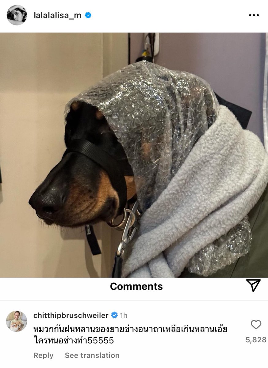 vousjay tweet media