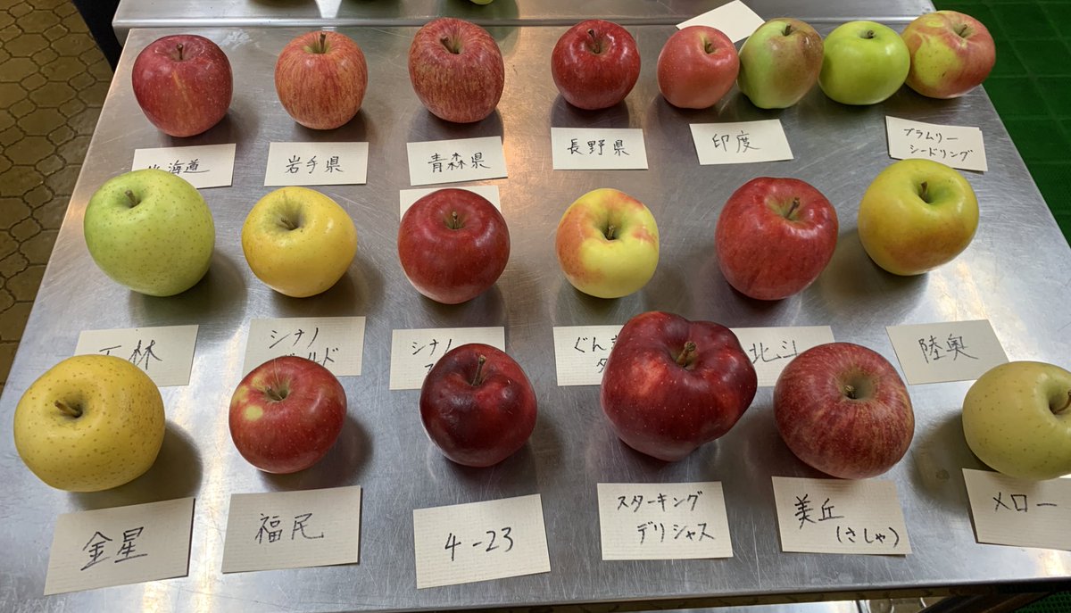 りんご食べ比べ会

昨日参加して、
食べ比べたりんご62種類。
美味しく&amp;勉強になりました。
同じ品種でも、南の地方のものが、
甘く柔らかくなりやすく、北の寒い地方では、酸味があり硬くなるとのこと。
長野のふじがすごく甘くて好みでした。
#食べ比べ会