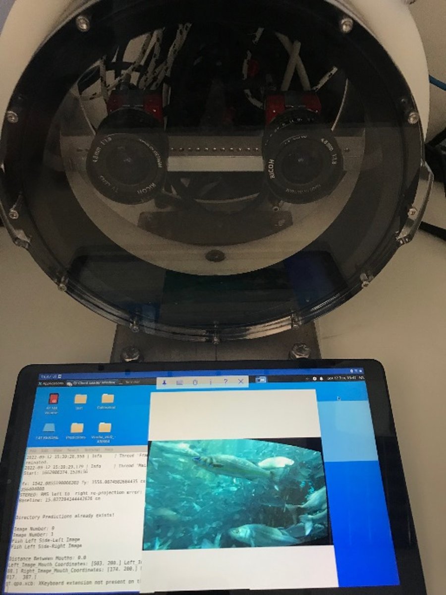 Cure4Aqua tweet media