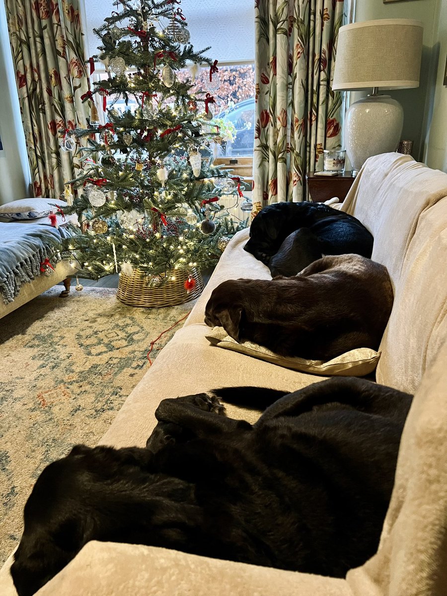 olive_blacklab's tweet photo. Itโs a 3 dog sofa kind of afternoon #labsrule ๐ https://t.co/vX9PJBNt5M