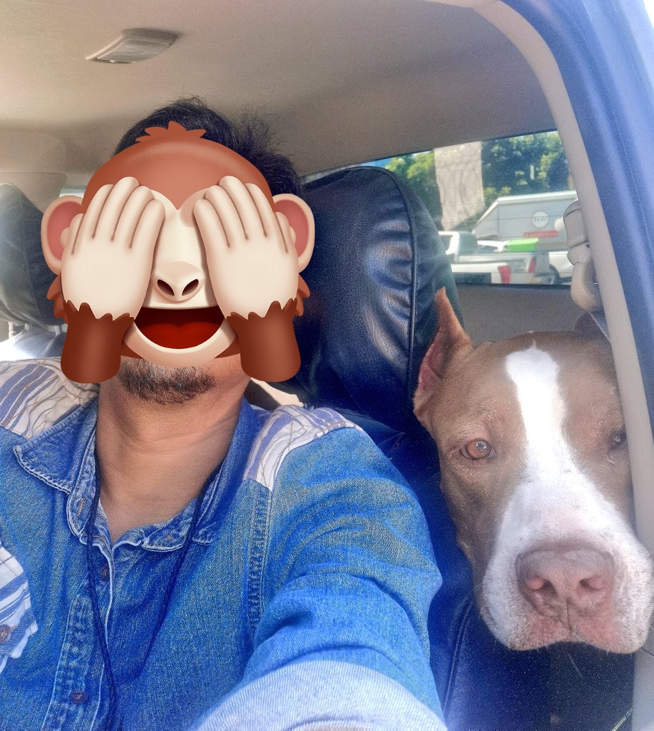 Pitbullman X tweet media