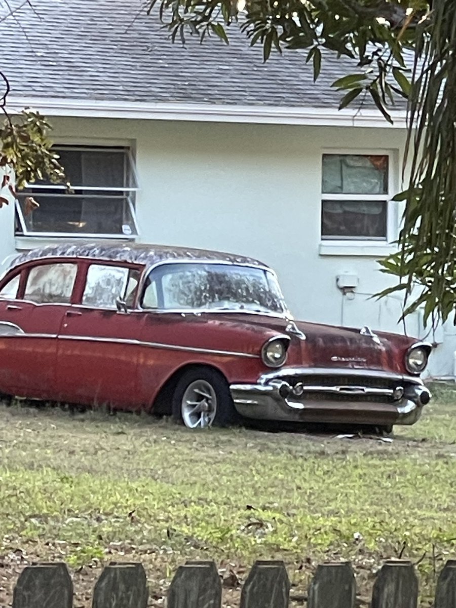 My neighbor has had this car in their yard for at least 18 years. Never moved. Can’t start to imagine what lives inside.
