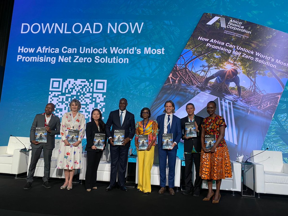 Africa must own the carbon offsets value chain amid market failures, AFC says In a report published at COP28 today.