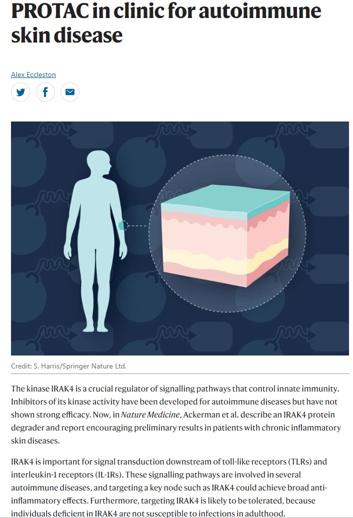Our latest research highlight covers a paper in Nature Medicine reporting early-stage clinical data that indicates the potential for an IRAK4-targeted PROTAC to treat autoimmune skin diseases bit.ly/4a1dS5f