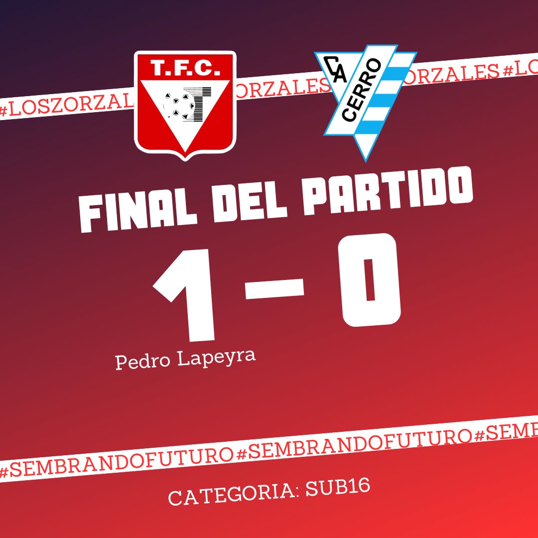 𝓛𝓸𝓼 𝓩𝓸𝓻𝔃𝓪𝓵𝓮𝓼 𝓢𝓾𝓫16

Ayer fue final en el Complejo Martinez Pozzi con victoria para #LosZorzales Sub16.

#SembrandoFuturo🌱