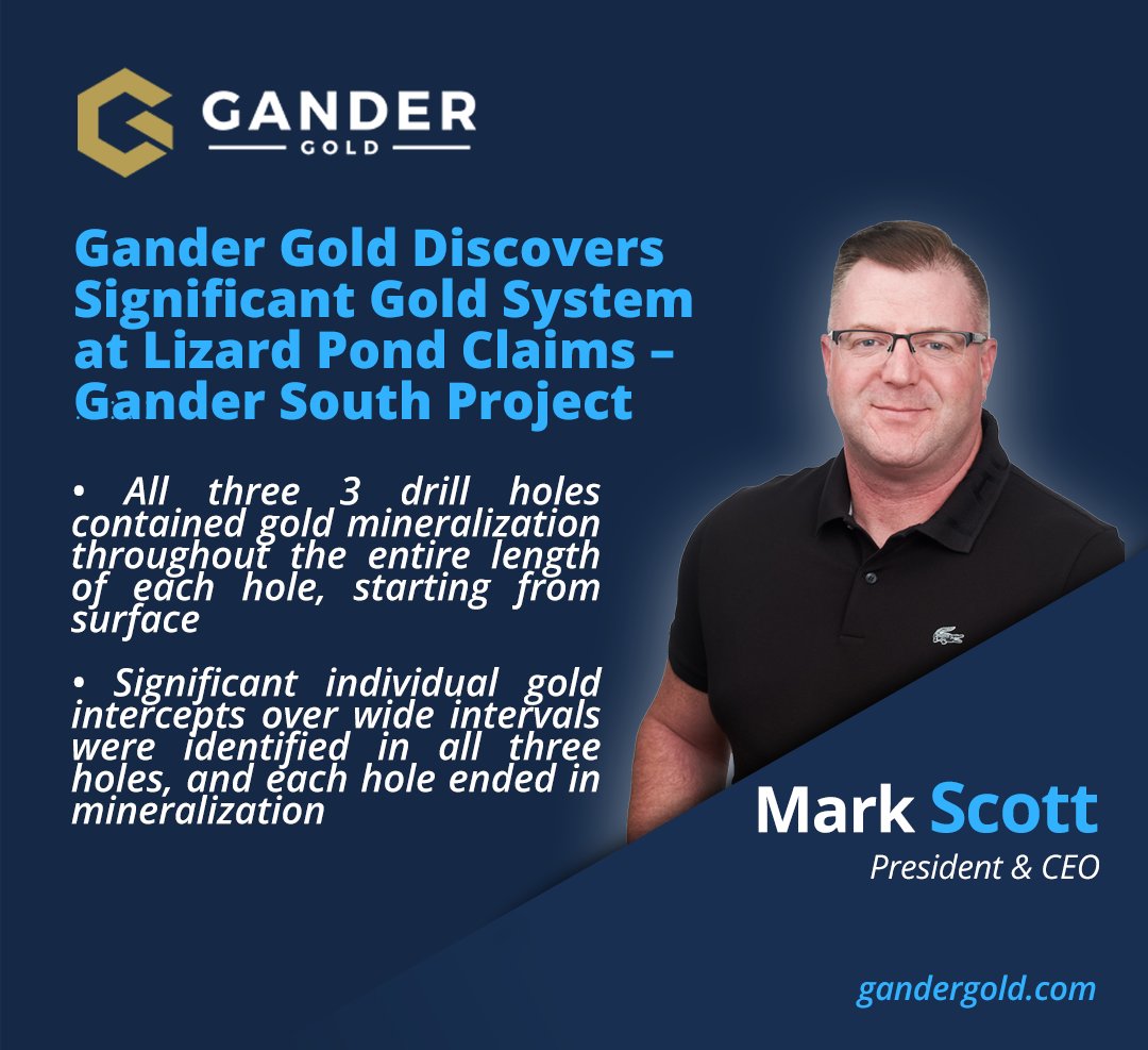 Gander Gold Corp. tweet media