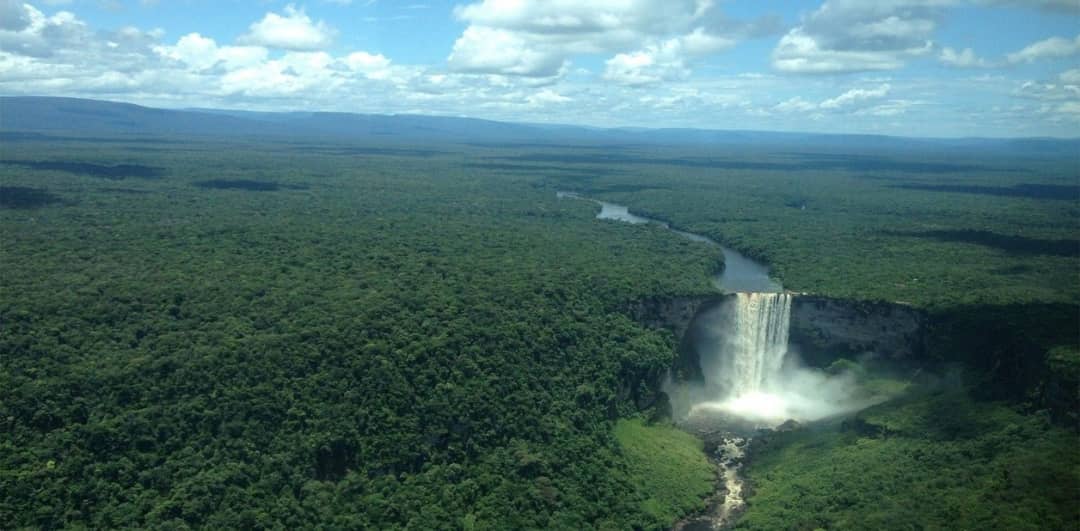#PorLaVida. Observa y escucha a las estrellas, al viento, a los animales y a los árboles, que ahora se suman a nuestras súplicas d Defender La Amazonia. La pachamama toda. <a href="/NicolasMaduro/">Nicolás Maduro</a> <a href="/JosePinto_MRT/">José Pinto</a> @Cristin77700058 <a href="/tupabarquisimet/">Nestor Luis Pastran López</a> <a href="/TarekWiliamSaab/">Tarek William Saab</a> <a href="/petrogustavo/">Gustavo Petro</a> <a href="/Pontifex_es/">Papa León XIV</a>