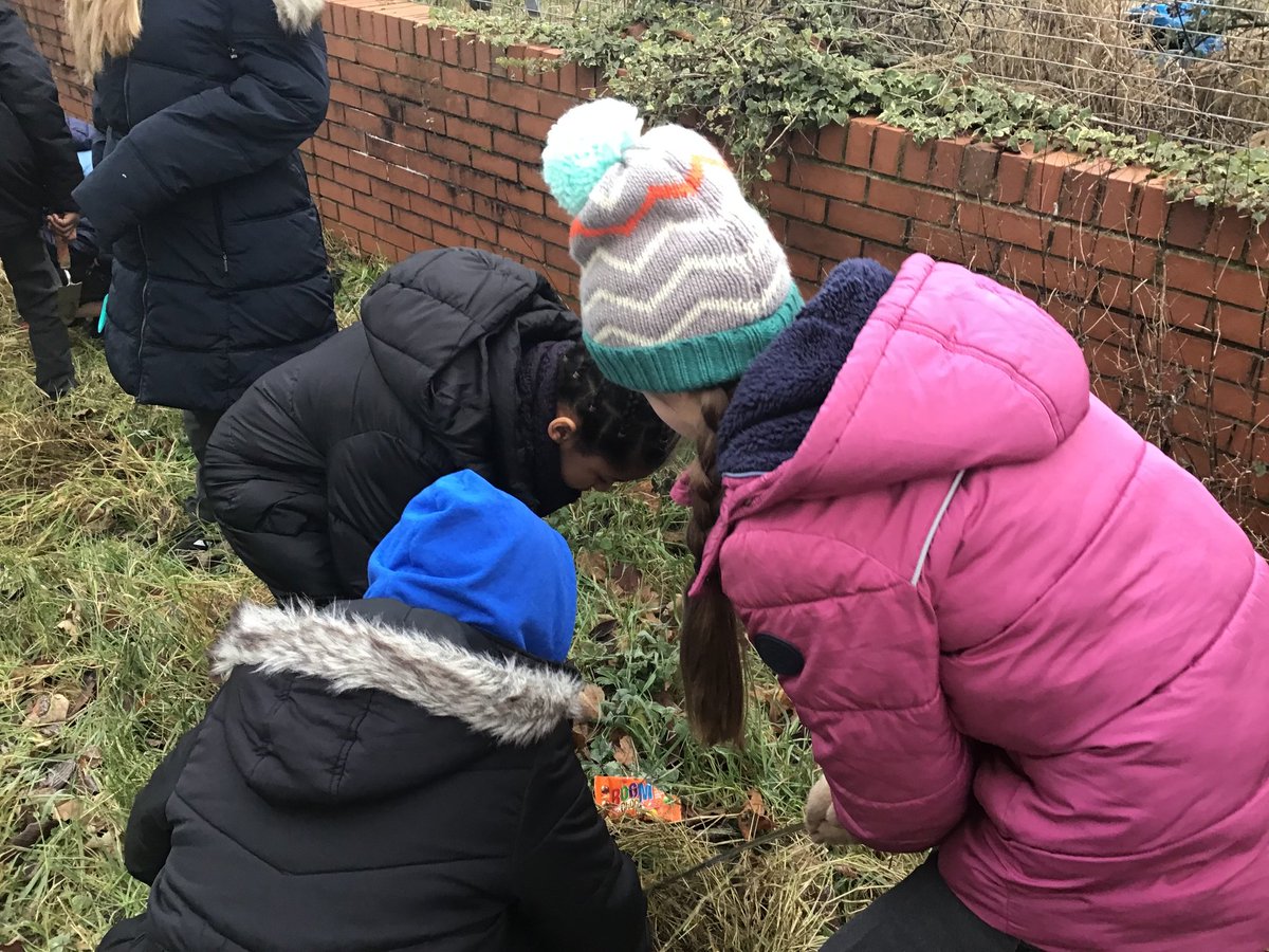 Our Laudato Si group had a fantastic morning on Friday planting trees with Kingsway Community Connections. Well done to all the children, and a big  thank you for having us at Kingsway.  #stewardsoftheearth #widerachievement