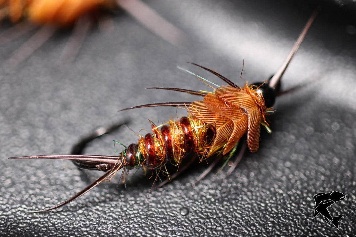 semperfli's tweet photo. Jeff Rowley with a fantastic stonefly nymph! Jeff uses our Scud Dubbing for a nice scruffy body and Lead Free Wire for adding a little bit of weight! They won't be able to resist this one, Jeff!

#semperfli  #semperfliproteam #flugfiske #pescaconmosca #flytying #mousefly https://t.co/K5akgWrgRj