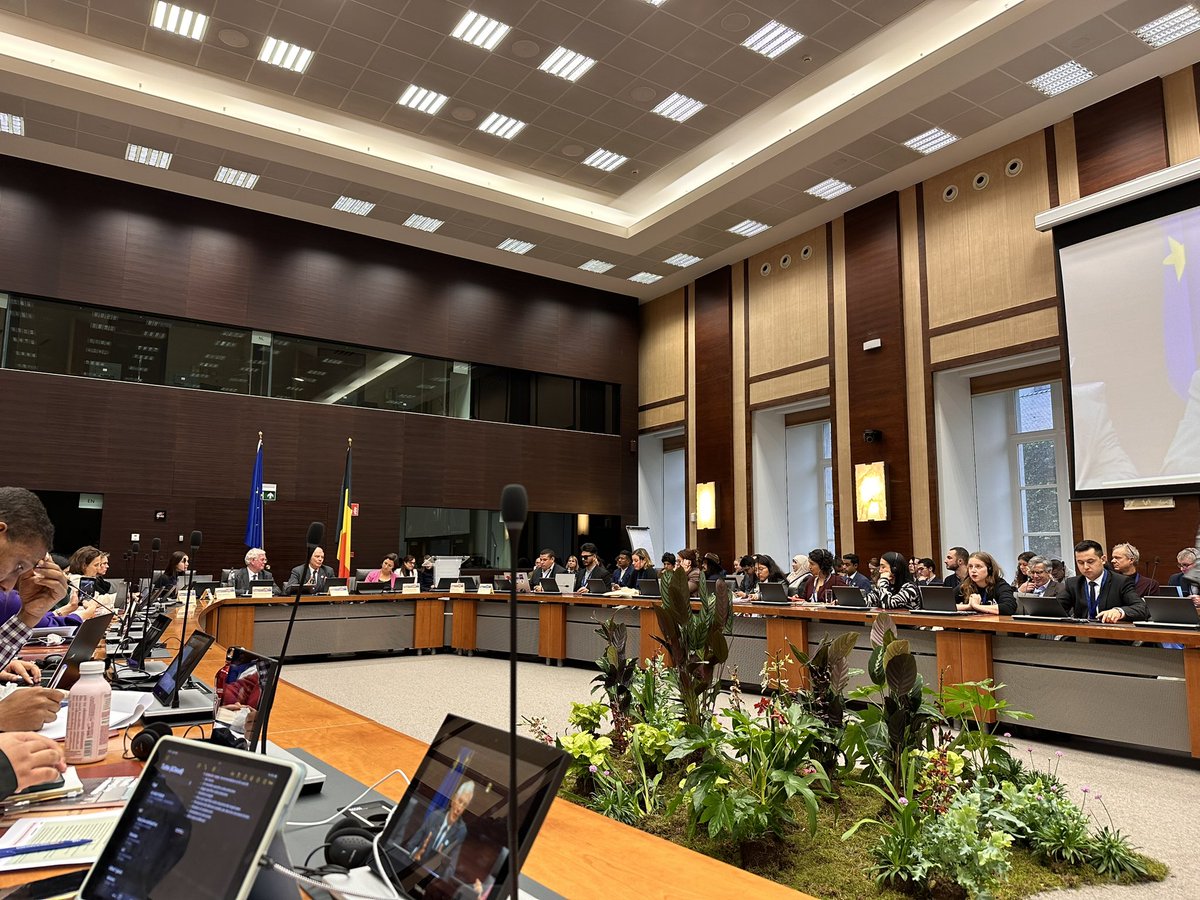 EU and UN officials reflections on human rights issues on global level at “25th EU NGO Forum on Human Rights”. 
#humanrights 
#EUNGOForum