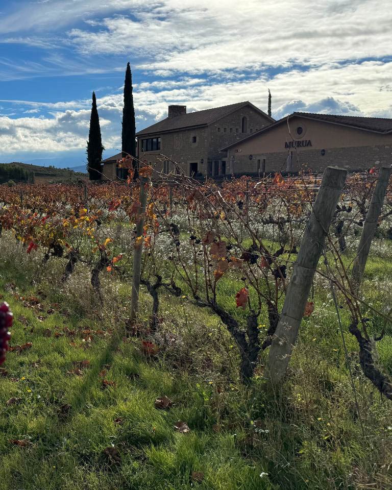 Masaveu Bodegas tweet media