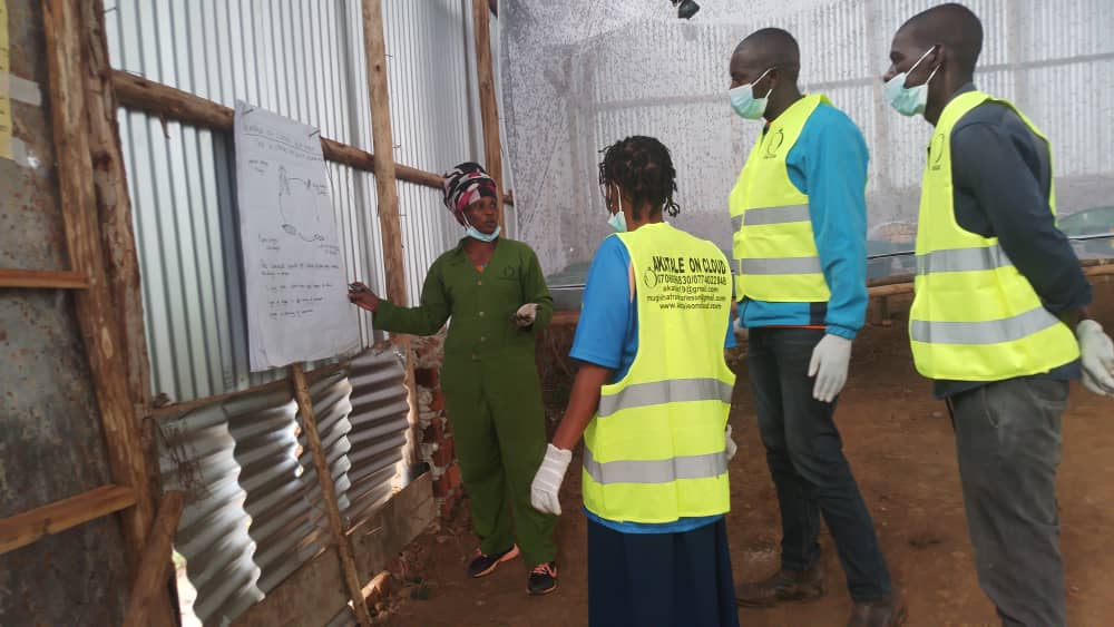 Akataleoncloud's tweet photo. Learning from the best! 😎 Visitors getting a firsthand look at how Akatale on Cloud is revolutionizing waste management with our black soldier fly technology. #ClimateAction #InsectPower #FutureofFood 🌎 https://t.co/S09GioBDpg