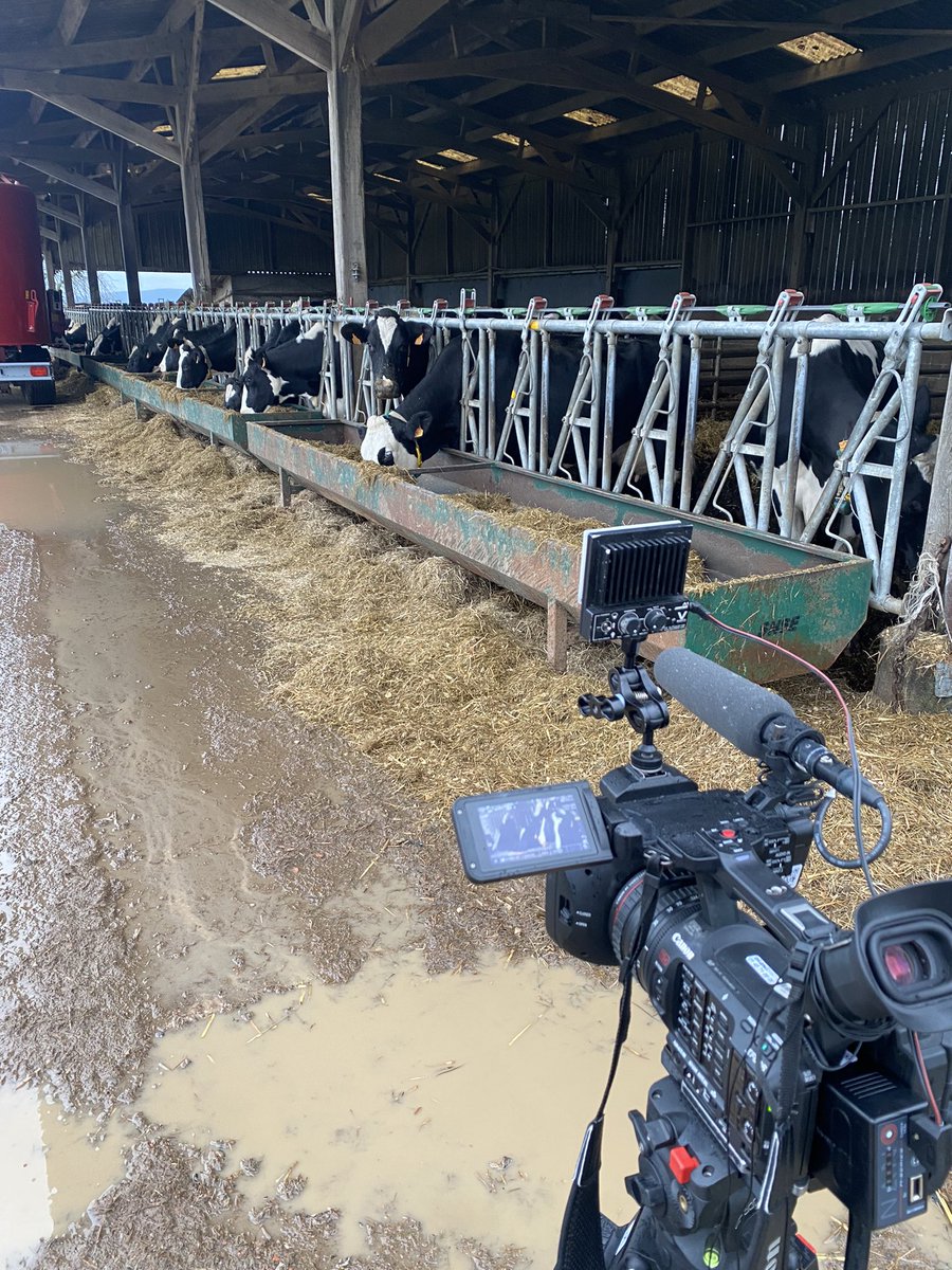 EliotFrancomme's tweet image. Vincent est éleveur de 250 vaches. En mars 2022 il est condamné à payer 106 000€ de dommages et intérêts. Plusieurs voisins ont porté plainte à cause des odeurs de fumier et du bruit de ses vaches. Il a saisi la Cour de cassation. Verdict jeudi
Reportage à retrouver sur @BFMTV