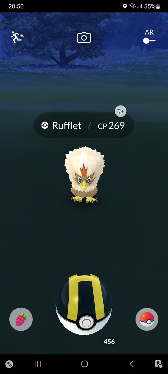 Wild shiny Rufflet