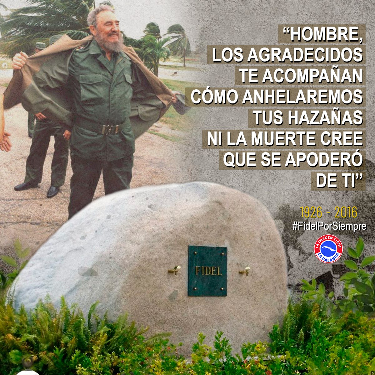 Un día como hoy 4 de diciembre, hace ya 7 años, fueron depositadas en el cementerio de Santa Ifigenia, las cenizas del Comandante en Jefe Fidel Castro Ruz #FidelPorSiempe 
#CubaViveEnSuHustoria