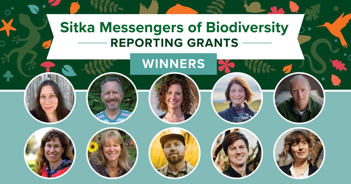 Congrats to the 10 outstanding winners of the inaugural Sitka Messengers of Biodiversity Reporting Grants: <a href="/OdetteAuger/">Odette Auger</a>, @andyengelson, <a href="/egies/">Erica Gies / SlowWater.World</a>, <a href="/isabellegroc/">Isabelle Groc</a>, <a href="/arno_kopecky/">Arno Kopecky</a>, <a href="/ljevanso/">Lesley Evans Ogden</a>, <a href="/TJPalmerWrites/">Jane Palmer</a>
<a href="/ramshacklefilms/">Daniel J. Pierce</a>, @jwsthomson, @ltrethew