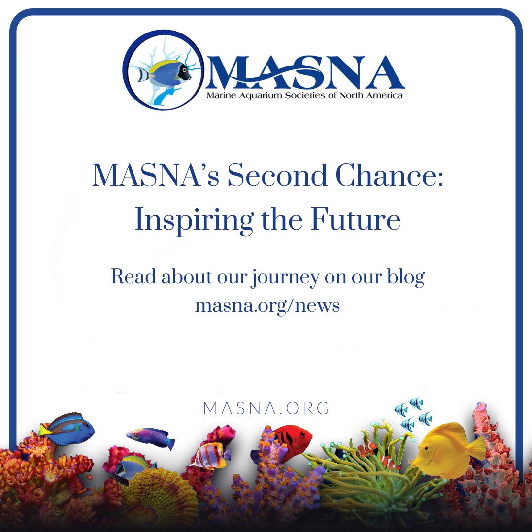 MASNA tweet media
