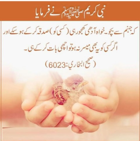 حدیث شریف
#غزة_الآن 
#ChennaiRains 
#FortniteChapter5 
#บวงสรวงzomvivor 
#bbtvi 
#zerodha 
#MCITOT 
#Packers