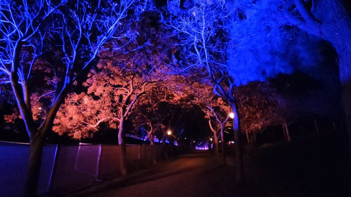 Antonio Rguǝz 🍿 tweet media