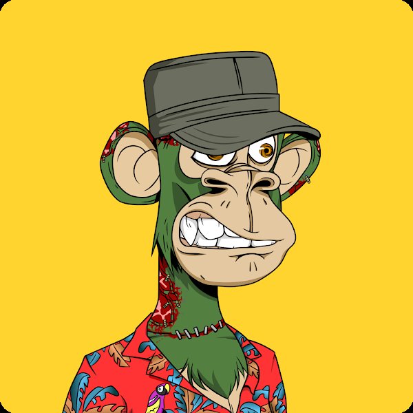 USApe_'s tweet photo. What #TRIBE

Happy #0xapes Monday https://t.co/iBrRR0X3b0