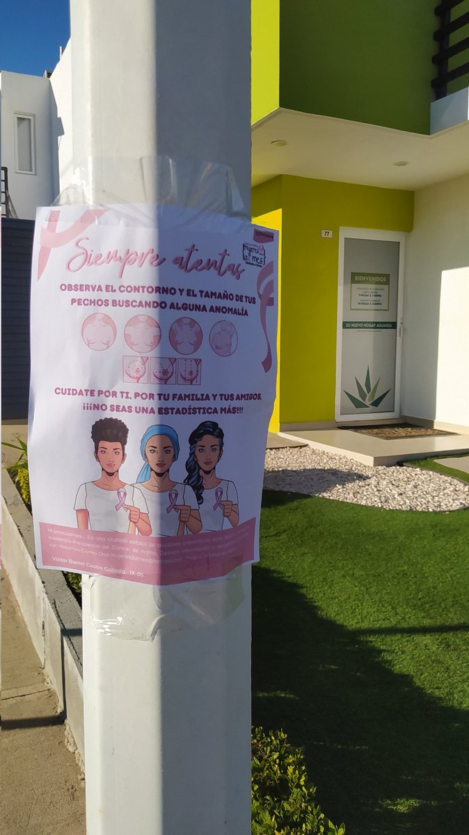 Victo_Galindo's tweet photo. Estar informada sobre como prevenir el cáncer de mama es muy importante, es por eso que se han colocado carteles en diversos puntos de la ciudad.

¡¡¡Comparte para apoyar esta campaña!!!🩷

@mujeres2almes @medicosconcausa @JCasimiroZamora https://t.co/2bRd1RYEGE
