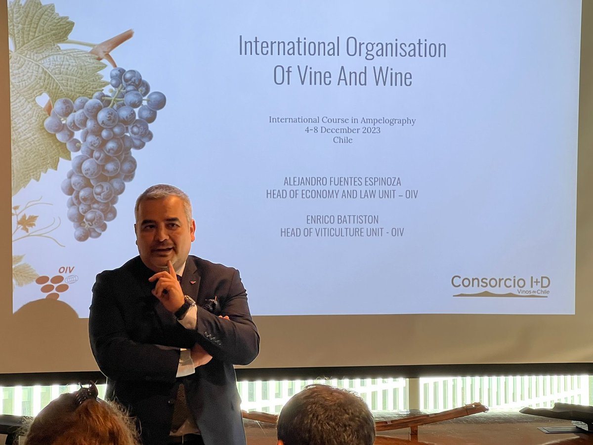 The Ampelography Course 2023 of the OIV commenced today in Chile. Throughout this week, students will be exploring the countrie's differents terroirs. This course is a collaborative effort between <a href="/ConsorcioVinos/">Consorcio I+D Vinos de Chile</a> I+D Vinos de Chile and the Asociación Gremial Vinos de Chile