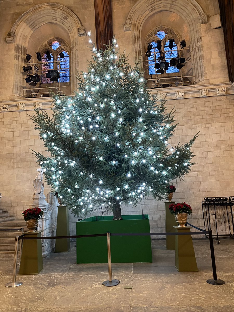 Merchant Navy Welfare Board tweet media