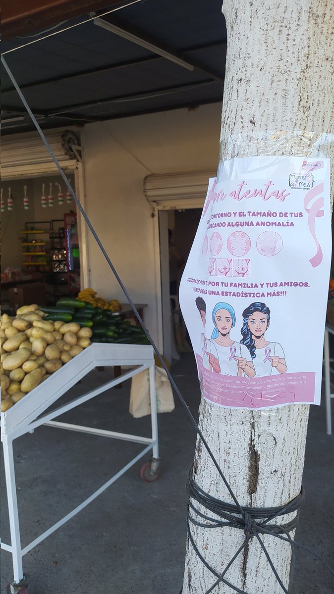Victo_Galindo's tweet photo. Estar informada sobre como prevenir el cáncer de mama es muy importante, es por eso que se han colocado carteles en diversos puntos de la ciudad.

¡¡¡Comparte para apoyar esta campaña!!!🩷

@mujeres2almes @medicosconcausa @JCasimiroZamora https://t.co/j8r3MfoOW7