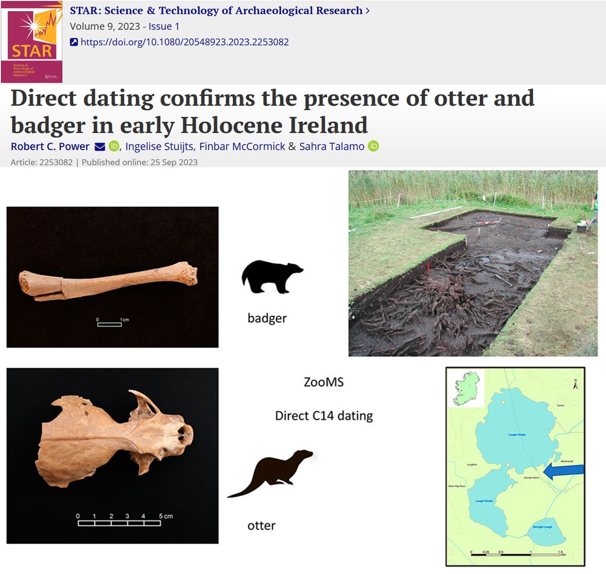 ‘Direct dating confirms the presence of otter and badger in early Holocene Ireland’ Congratulations to Dr Robert Power and co-authors I. Stuijts, F. McCormick & S. Talamo on their Open Access paper: tandfonline.com/doi/full/10.10… @maxplanckpress @DiscProg @ucdarchaeology @ucddublin