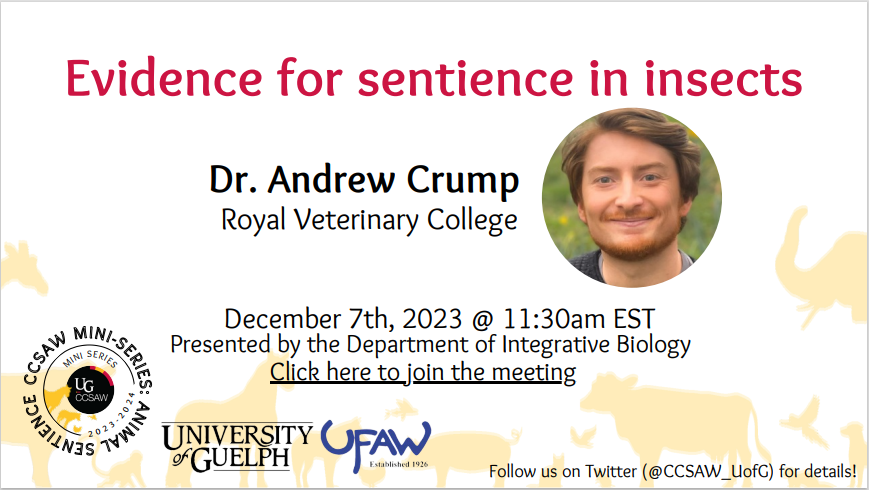 CCSAW_UofG tweet picture