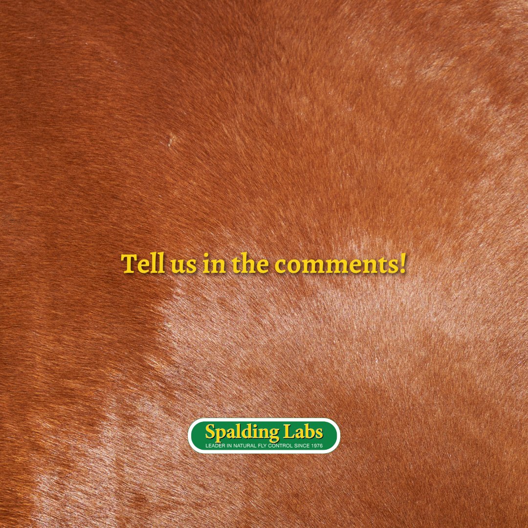 Spalding Labs tweet media