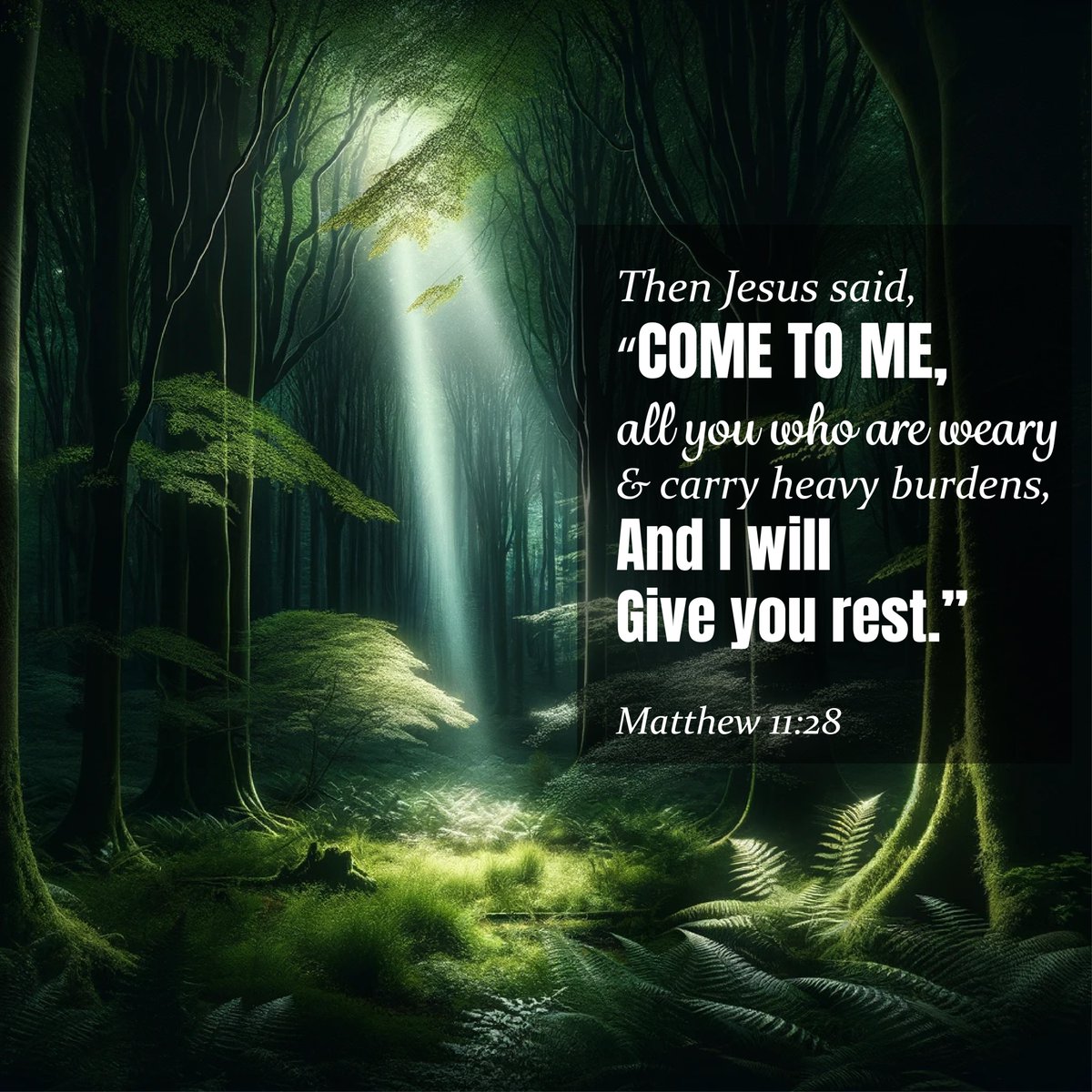 macgeek67's tweet image. Decemberness...sometimes it&apos;s hard to be joyful amongst the Christmas rush.
warriormodeactivated.com/2023/12/decemb… #warriormodeactivated #blog #christmas