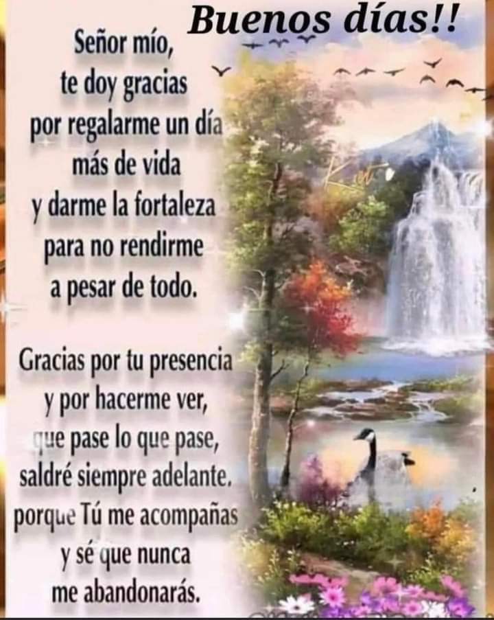 Excelente día