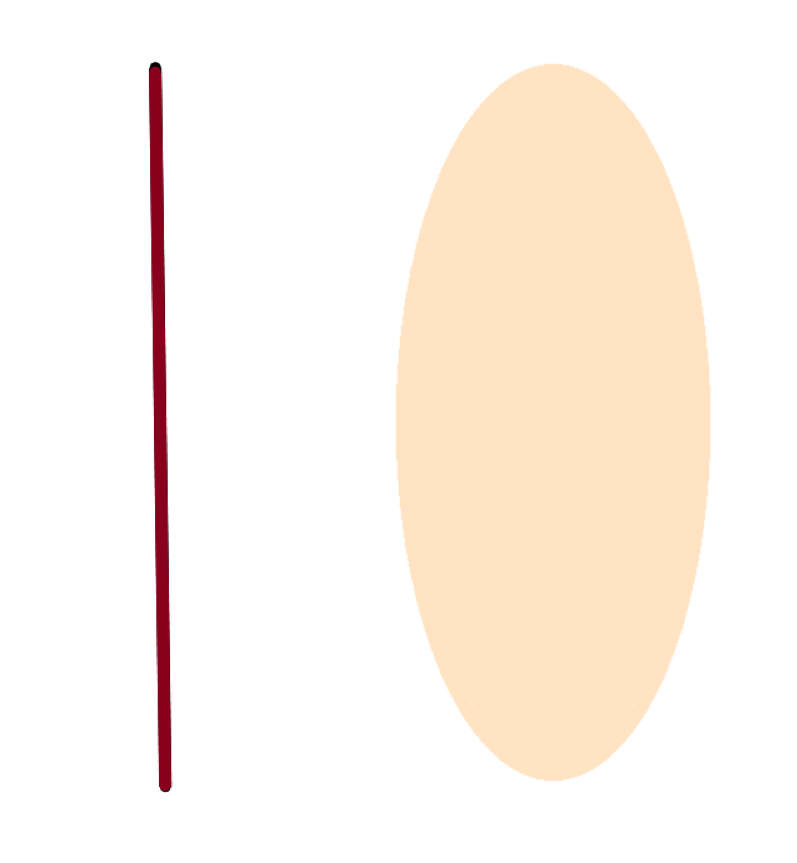 crowleysundies's tweet image. gay test