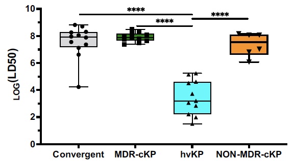 Happy to share work from our group suggesting 'convergent' Klebsiella strains (hypervirulent and antibiotic resistant) may not be as bad as we thought. Thanks to @TKochanPhD @sophienozick Aliki Valdes @Doctor_Mitra and others! nature.com/articles/s4146…