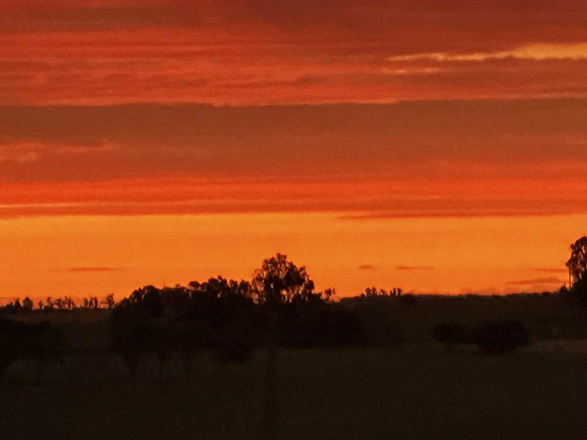 Tal vez le vuelva a equivocarme , pero es lo que el corazón siente en este momento 🫶🏼