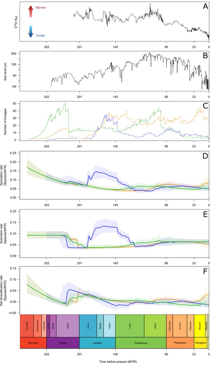 New paper <a href="/NatureEcoEvo/">NatureEcoEvo</a> led by <a href="/AlexRDPayne/">Alex Payne</a> &amp; <a href="/drkatiedavis/">Katie Davis</a>, with <a href="/GraemeTLloyd/">Moonikin Campos</a>, in which we show how the interplay of biotic + abiotic drivers shaped the 250 million year history of crocodiles + their extinct relatives: nature.com/articles/s4155…