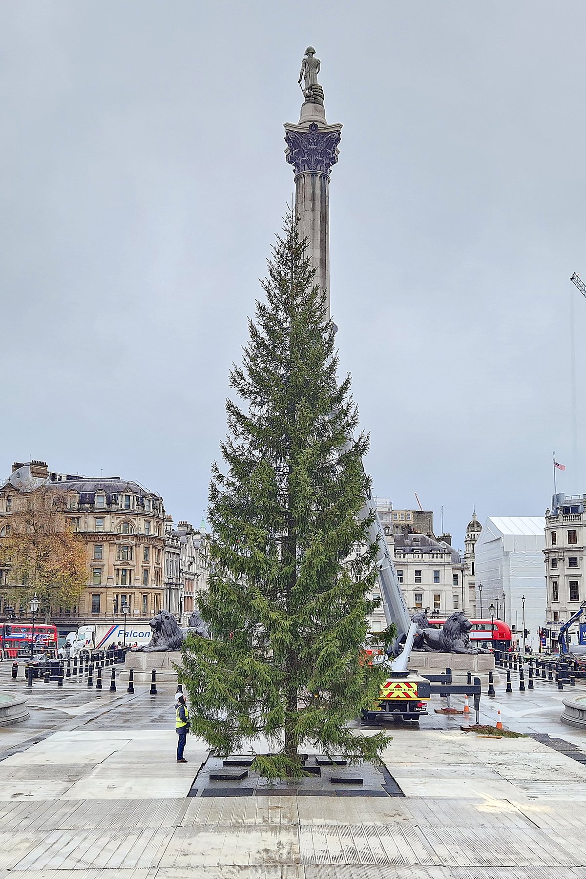 Christmas tree in trafalgar cheap square
