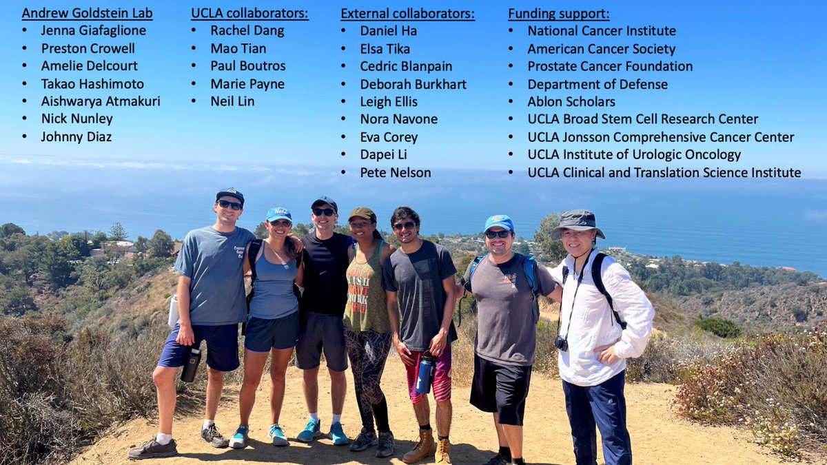 Andrew Goldstein tweet media