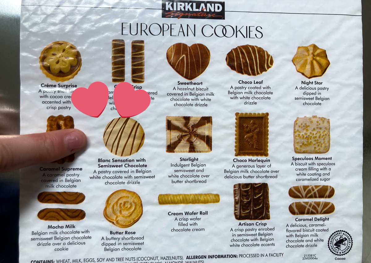 Rachel Lance💥 tweet media